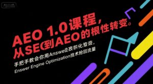 AEO 1.0 课程,从SEO到AE0的基命性转变,手把手教会你用AnswerEngineOptimization技术抢回流量-知一资源网