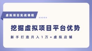 抓住虚拟项目各平台优势,新手轻松月入1W+(给出具体建议)-知一资源网