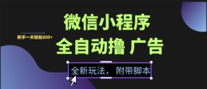 微信小程序全自动撸广告项目,彻底解决没流量的问题,新手一天8张+【揭秘】-知一资源网