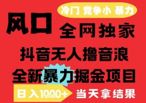 25年6月高爆抖音无人直播最新撸音浪掘金项目,解放双手小白可做,无脑日入1k+,门槛低【揭秘】-知一资源网