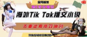 海外tiktok小说推文暴力项目,高停留率,高转化率,上手后一天搞顿饭钱不是问题-知一资源网
