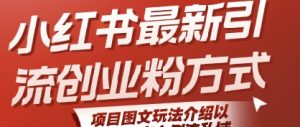 小红书最新引流创业粉方式,项目图文玩法介绍以及如何安全倒流私域-知一资源网