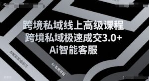跨境私域线上高级课程,跨境私域极速成交3.0+Ai智能客服-知一资源网
