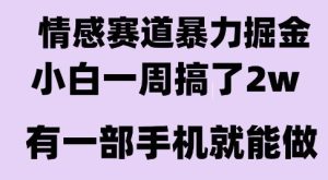 情感暴力掘金项目,新人操作一周挣了2W,长期稳定小白可做【揭秘】-知一资源网