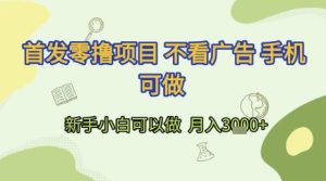 首发零撸项目 不看广告 手机可做 新手小白可以做  月入3k+【揭秘】-知一资源网