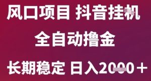 风口项目,六月最新玩法抖音无人挂G,全自动撸金,长期稳定 日入2k+【揭秘】-知一资源网