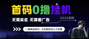 首码0撸挂G项目,无需实名无需看广告 一键启动运行,小白轻松日入三位数【揭秘】-知一资源网