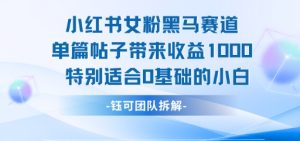 小红书女粉黑马赛道单篇帖子带来收益1k+,特别适合0基础的小白-知一资源网