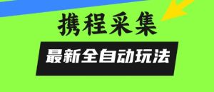 携程信息采集全自动玩法,0风控,无脑开干【揭秘】-知一资源网