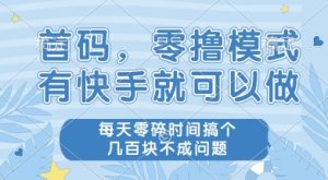 首码零撸项目，有快手就可以做，每天业务时间搞个几张不是问题【揭秘】-知一资源网
