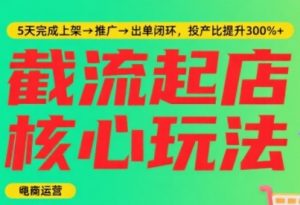 淘宝截流快速起店玩法,掌握暴力快速起店的流程,5天完成上架-推广-出单闭环-知一资源网