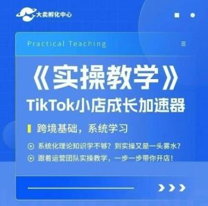 大卖家孵化中心TikTok实操课,TikTok小店成长加速器,跨境基础系统学习,一步一步带你开店-知一资源网