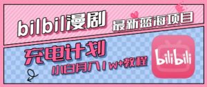 最新蓝海项目,B站充电计划,小白也能月入1w+-知一资源网