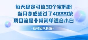 每天稳定引流30个人 当月变成超过了4个W项目流程非常简单适合小白-知一资源网