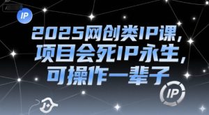 2025网创类IP课,项目会死IP永生,可操作一辈子-知一资源网
