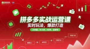 拼多多实战运营课,实时玩法,爆款打造,改销量,补大单,AB单,直播等(更新2025月)-知一资源网