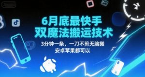 6月底最新快手双魔法搬运技术,3分钟一条,一刀不剪无脑搬,安卓苹果都可以-知一资源网