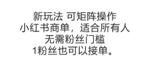 可矩阵操作,小红书商单新玩法,适合所有人,无需粉丝门槛,1粉丝也可以接单-知一资源网