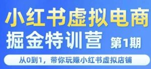小红书虚拟电商掘金特训营第1期,从0到1,带你玩转小红书虚拟店铺-知一资源网