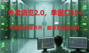 外卖浏览2.0,单窗口30+可矩阵无限多开,脚本全自动运行【揭秘】-知一资源网
