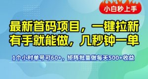 最新首码项目,一键拉新有手就能做,几秒钟一单,1个小时单号可60+,矩阵批量做每天5张【揭秘】-知一资源网