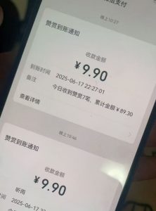 二次元男粉快速变现项目,私域卖虚拟产品,百分利润-知一资源网