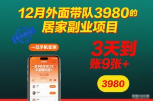 12月外面带队3980的居家副业项目，一部手机实测3天到账9张+，首发教程【揭秘】-知一资源网