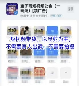 宝子哥头部团队短视频带货，以混剪为主，不需要真人出镜，不需要拍摄【更新12月】-知一资源网