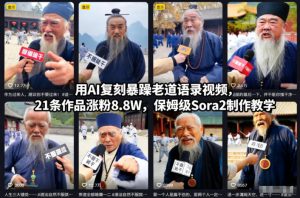 用AI复刻暴躁老道语录视频，21条作品涨粉8.8W，保姆级Sora2制作教学-知一资源网