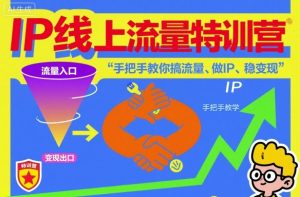 IP线上流量特训营，手把手教你搞流量、做IP、稳变现-知一资源网