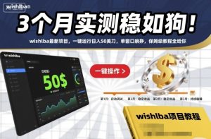 3个月实测稳如狗！wishlba最新项目，一键运行日入50美刀，单窗口躺挣，保姆级教程全给你【揭秘】-知一资源网