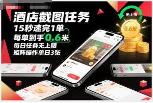酒店截图任务，15秒速完1单，每单到手0.6米，每日任务无上限，全网首发玩法，矩阵操作单日3张【揭秘】-知一资源网