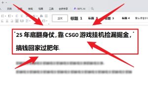 25年底翻身仗，靠CSGO游戏挂G捡漏掘金，搞钱回家过肥年【揭秘】-知一资源网