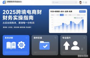 2025跨境电商财务实操指南,从后台到账本,算清每一分利润,系统讲解-案例实操-专业提升-知一资源网