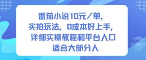 番茄小说10米每单，实拍玩法，0成本好上手，详细实操教程和平台入口适合大部分人-知一资源网