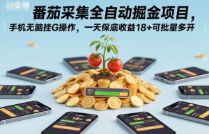 番茄采集全自动掘金项目，手机无脑挂G操作，一天保底收益18+可批量多开【揭秘】-知一资源网