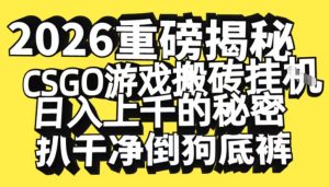 2026开年重磅解密，CSGO游戏搬砖挂G日入1k+的秘密，把倒狗的底裤扒干【揭秘】-知一资源网