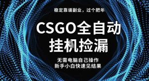 【稳定副业】全球最热门游戏CSGO全自动捡漏，最新玩法，新手小白日入5张+【揭秘】-知一资源网