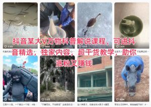 抖音某大V万物科普解说课程，可进抖音精选，独家内容，超干货教学，助你涨粉又賺钱-知一资源网