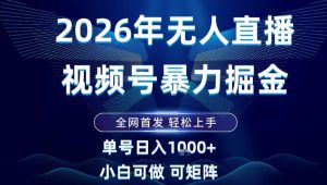 2026最新视频号无人直播掘金，全网首发，小白可以玩，长期稳定日入1k+【揭秘】-知一资源网