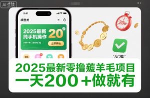 2025最新零撸薅羊毛项目，纯手机操作，20秒一单，无任何门槛，一天200+做就有【揭秘】-知一资源网