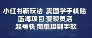 小红书新玩法，卖国学手机贴，蓝海项目，变现灵活，起号快，商单接到手软-知一资源网