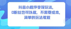 抖音小程序变现玩法，0粉丝也可以做，不需要成本，简单的玩法教程-知一资源网