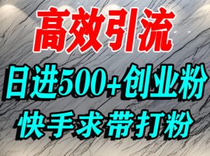 怎么打创业粉？快手求带视角精准引流创业粉，宝妈、学生群体日进500+精准流量-知一资源网