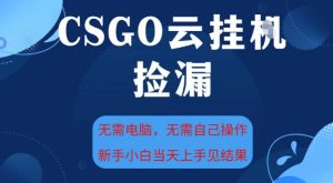 CSGO云挂G全自动捡漏，最新独家玩法，无需电脑操作，新手小白日入5张+【揭秘】-知一资源网