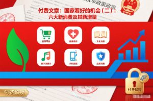 付费文章：国家看好的机会(二)：六大新消费及其新增量-知一资源网