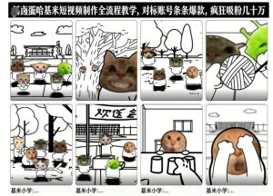 卤蛋哈基米短视频制作全流程教学，条条爆款，疯狂吸粉几十万-知一资源网