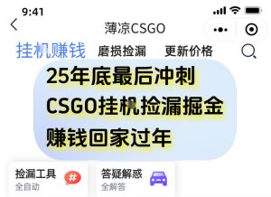 12月年底抓紧最后一个月，用CSGO游戏挂G捡漏掘金賺钱掘金，一部手机轻松日入5张+【揭秘】-知一资源网