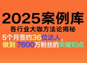 2025案例库，收录各行业大咖的方法论，各行业大咖方法论揭秘-知一资源网
