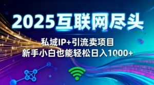 2025网创尽头王炸项目！私域IP+精准引流，新手小白在家躺賺日入1k，零经验也能上手【揭秘】-知一资源网